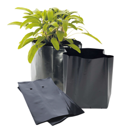 اكياس مشاتل اسود 