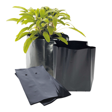 اكياس مشاتل اسود