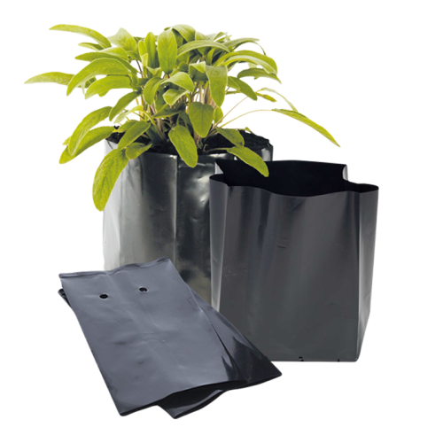 اكياس مشاتل اسود 