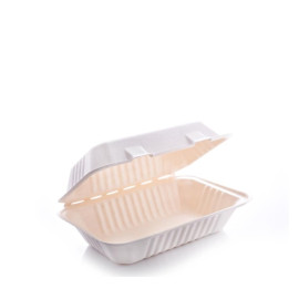 علب باغاس مستطيل 170X90X80مم-200حبه/كرتون