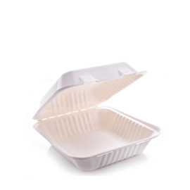 علب باغاس مربع 170X170X80مم200حبه/كرتون