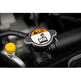 ملصقات مطبوعة- رول/كرتون