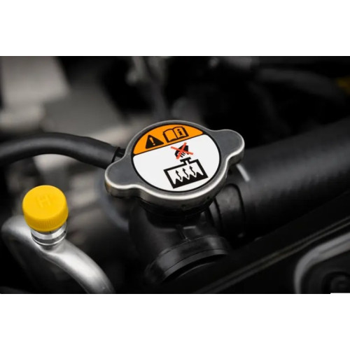 ملصقات مطبوعة- رول/كرتون